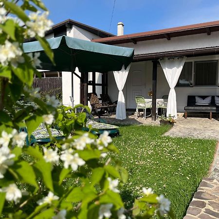 Вілла Charmante Petite Maison Transylvanie Сачеле Екстер'єр фото