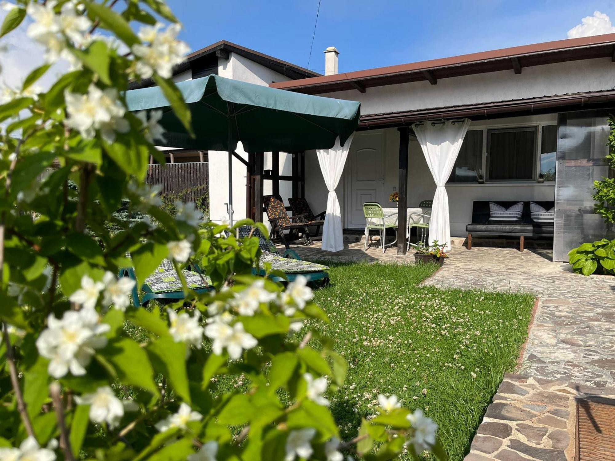 Вілла Charmante Petite Maison Transylvanie Сачеле Екстер'єр фото