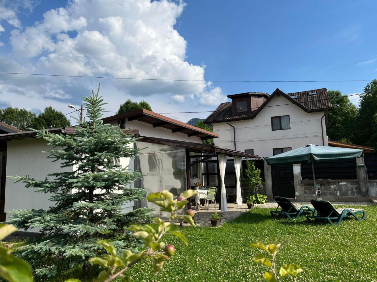 Вілла Charmante Petite Maison Transylvanie Сачеле Екстер'єр фото