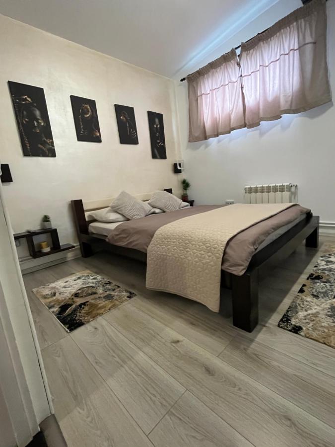 Вілла Charmante Petite Maison Transylvanie Сачеле Екстер'єр фото